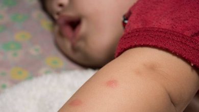 Photo of Două din cele mai periculoase boli ar putea fi contractate de miliarde de oameni din cauza crizei climatice