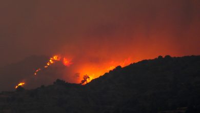 Photo of foto | Cel mai mare incendiu forestier din istoria Ciprului ar fi fost provocat intenționat. Un bărbat a fost arestat