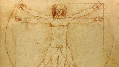 Photo of Studiu: 14 italieni sunt descendenți în viață ai lui Leonardo da Vinci