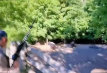 Photo of video | Dodon ar fi fost surprins cum împușcă, cu zâmbetul pe buze, mai mulți mistreți captivi