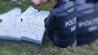 Photo of video | Droguri în valoare de 900.000 de lei. Mai mulți membri a două grupări criminale, reținuți de Poliție