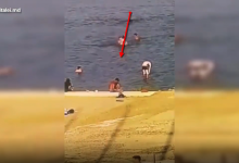 Photo of video | Hoțul de la scăldat. Mai multe persoane au rămas fără bunuri de pe o plaja de la Buiucani