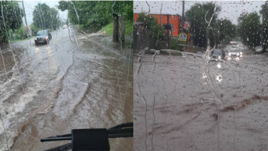 Photo of În atenția chișinăuienilor! Circulația transportului public, dată peste cap de condițiile meteo