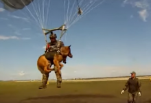 Photo of video | Ultimul răcnet în armata rusă: Câinii de serviciu sunt învățați să sară cu parașuta