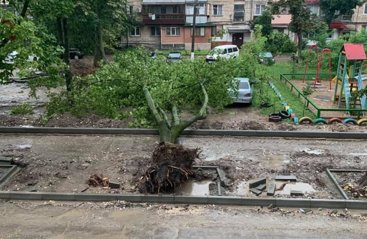 Photo of Un copac, smuls de vânt din rădăcini la Botanica. S-a prăbușit peste mai multe vehicule