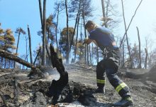 Photo of foto | Misiunea în Grecia continuă: Pompierii moldoveni au lichidat peste o sută de focare, în 24 de ore