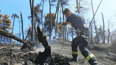 Photo of foto | Misiunea în Grecia continuă: Pompierii moldoveni au lichidat peste o sută de focare, în 24 de ore