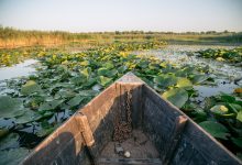 Photo of Rezervația biosferei „Prutul de Jos”, inclusă în Rețeaua UNESCO, va activa în baza unui Regulament aprobat de Guvern