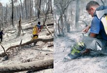 Photo of foto, video | Șapte hectare și peste 59 de focare, stinse de pompierii moldoveni în Grecia. În unele zone nu pot interveni autospecialele