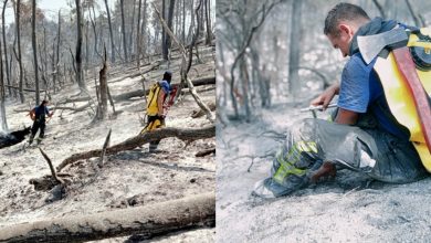 Photo of foto, video | Șapte hectare și peste 59 de focare, stinse de pompierii moldoveni în Grecia. În unele zone nu pot interveni autospecialele