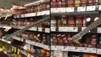 Photo of video | „Surpriză” pentru cumpărătorii unui supermarket: O reptilă de trei metri s-a strecurat printre rafturi