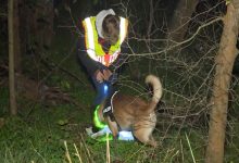 Photo of Caz șocant în Germania: Un individ a fost ucis, unele părți ale corpului său – mâncate, iar resturile – împrăștiate prin Berlin