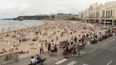 Photo of O microalgă a pus pe jar autoritățile franceze. Provoacă simptome asemănătoare coronavirusului