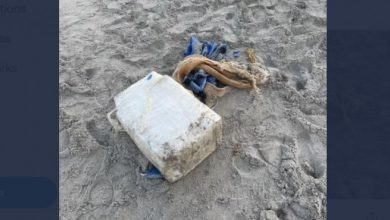Photo of foto | Descoperirea unui turist pe plajă. Droguri în valoare de 1.000.000 de dolari