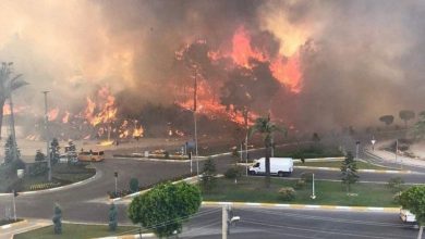 Photo of video | Imagini dramatice în Turcia. Echipe de intervenție și jurnaliști scapă în ultimul moment de flăcări