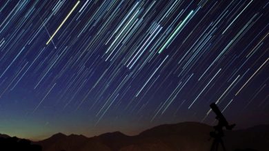 Photo of Perseide 2021: Ploaie de stele în noaptea de joi spre vineri. Se pot vedea circa 60 de stele căzătoare pe oră