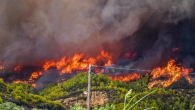 Photo of video | Grecia: Un incendiu arde necontrolat de mai multe zile pe a doua cea mai mare insulă. Sute de turiști și localnici, evacuați