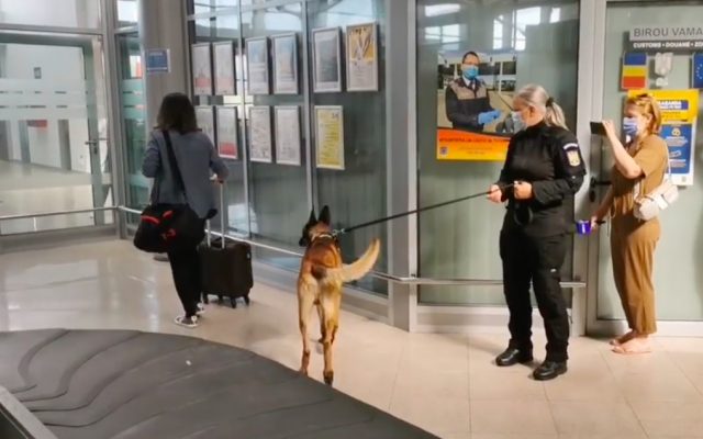 Photo of România: Primul caz în care un câine – polițist a depistat trei persoane infectate cu coronavirus