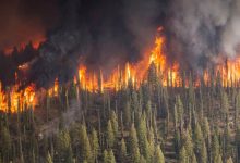 Photo of Rusia: Aerul poluat provocat de incendiile masive ameninţă sănătatea locuitorilor