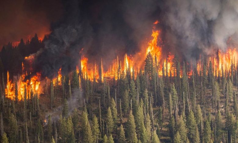 Photo of Rusia: Aerul poluat provocat de incendiile masive ameninţă sănătatea locuitorilor