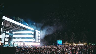 Photo of „Primăria nu are nici un drept de a permite sau interzice organizarea”. Autoritățile, despre concertele de la Grădina Botanică