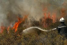 Photo of Incendiile din Rusia amenință unul dintre cele mai importante centre nucleare