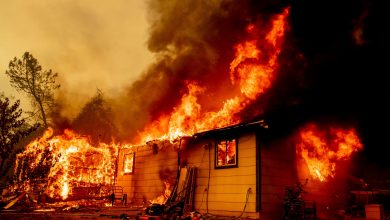 Photo of SUA: Peste 1.600 de pompieri luptă cu un nou incendiu de vegetaţie izbucnit în nordul Californiei