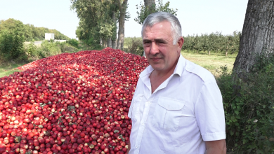 Photo of Nu le-a aruncat, ci le-a depozitat. Ce spune agricultorul din Dondușeni care a descărcat 60 de tone de mere pe marginea drumului