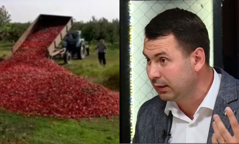 Photo of Cine minte? Ministerul Agriculturii afirmă că merele de la Dondușeni urmează să ajungă la fabrică, iar proprietarul nu știe despre filmarea lui Costiuc