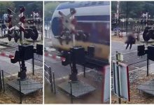 Photo of video | A scăpat ca prin urechile acului. O femeie, aproape de a fi spulberată de un tren de mare viteză