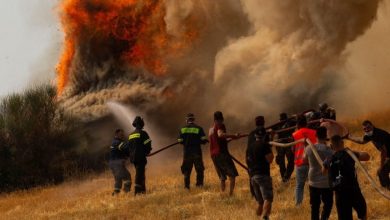 Photo of Criză climatică: Incendiile din vară au generat un nivel record al emisiilor de carbon