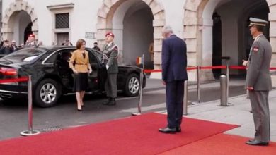 Photo of video | Maia Sandu, în prima vizită a unui șef de stat din R. Moldova la Viena. Cum a fost întâmpinată și despre ce s-a discutat