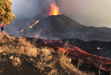 Photo of Erupția vulcanică de pe insula la Palma: Ar putea sau nu să fie evacuați câinii rămaşi blocaţi în râurile de lavă