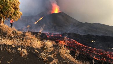 Photo of Erupția vulcanică de pe insula la Palma: Ar putea sau nu să fie evacuați câinii rămaşi blocaţi în râurile de lavă