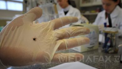 Photo of Cercetătorii au descoperit o nouă boală care afectează oamenii, cauzată de virusul Yezo