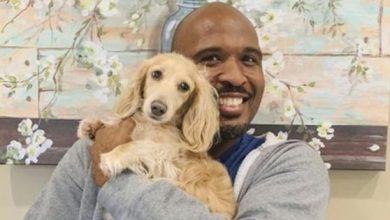 Photo of Medic veterinar, condamnat la 21 de ani de închisoare pentru abuz sexual asupra câinilor