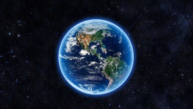 Photo of Cât de diferit ar fi arătat planeta Pământ fără oameni? Explicația cercetătorilor