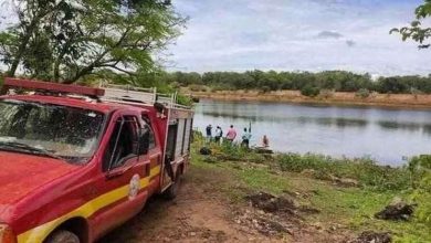 Photo of A sărit în iaz pentru a scăpa de un roi de albine, dar a murit devorat de pești piranha