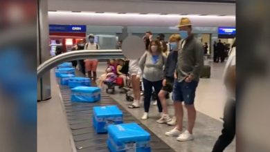 Photo of video | Șoc pentru pasagerii unui aeroport! Pe banda transportoare au apărut lăzi cu pește în locul bagajelor lor