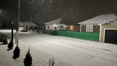 Photo of foto | Un strat de zăpadă s-a așternut în nordul Republicii Moldova