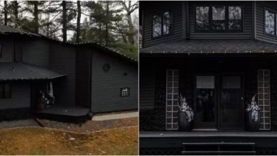 Photo of video | Cum arată casa amenajată complet în negru la interior și exterior. Prețul de vânzare