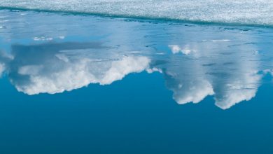 Photo of „E un nou semnal de alarmă privind clima”. Recordul de 38 de grade Celsius din Arctica, validat de Organizaţia Meteorologică Mondială