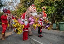 Photo of foto | Mai mulți elefanți au jucat rolul lui Moș Crăciun pentru copiii unei școli din Thailanda
