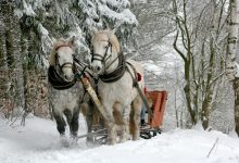 Photo of Anomalie sau normalitate? Diferență de peste 85 de grade între două localități, înregistrată în aceeași zi