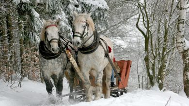 Photo of Anomalie sau normalitate? Diferență de peste 85 de grade între două localități, înregistrată în aceeași zi