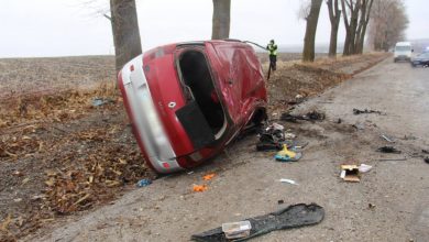 Photo of foto | Accident mortal la Edineț. O femeie a decedat, după ce mașina în care se afla s-a izbit într-un copac