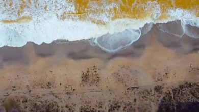 Photo of video, foto | Marea neagră a devenit galbenă. Factorii naturali care au cauzat anomalia