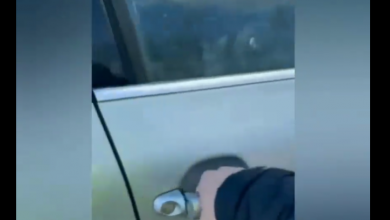 Photo of video | Focuri de armă și urmărire ca în filme pe traseul Chișinău-Leușeni. Un șofer fugar a fost reținut de polițiști