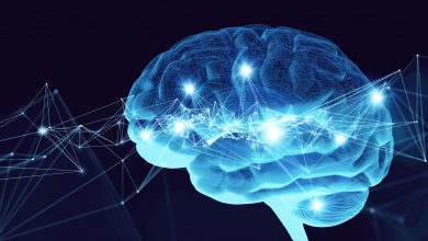 Photo of studiu | De ce creierul uman se micșorează? Explicațiile oamenilor de știință