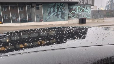 Photo of Într-un oraș din Canada a nins cu soia. Explicația fenomenului
